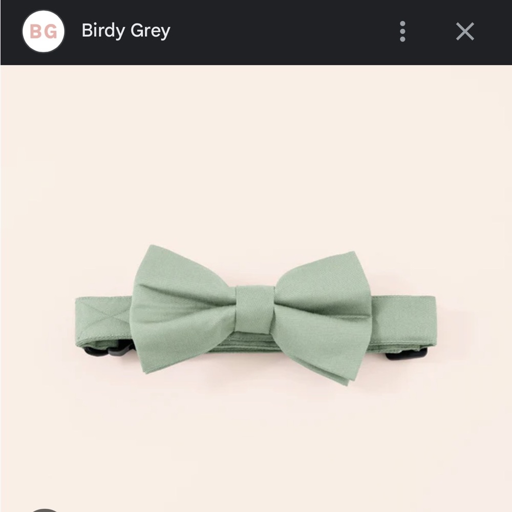 NWT SADIE DOG BOW TIE COLLAR color sage M/L